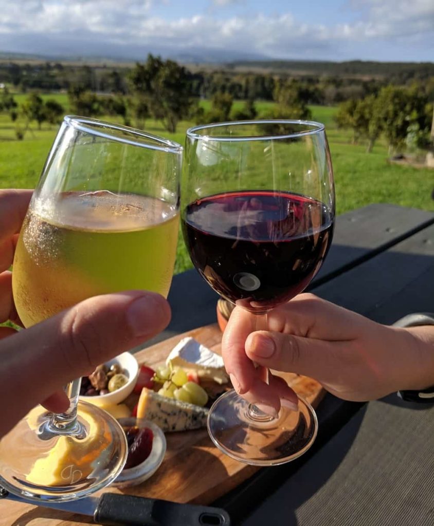two hands holding white wine glass and red wine glass in Shoalhaven Coast vineyard