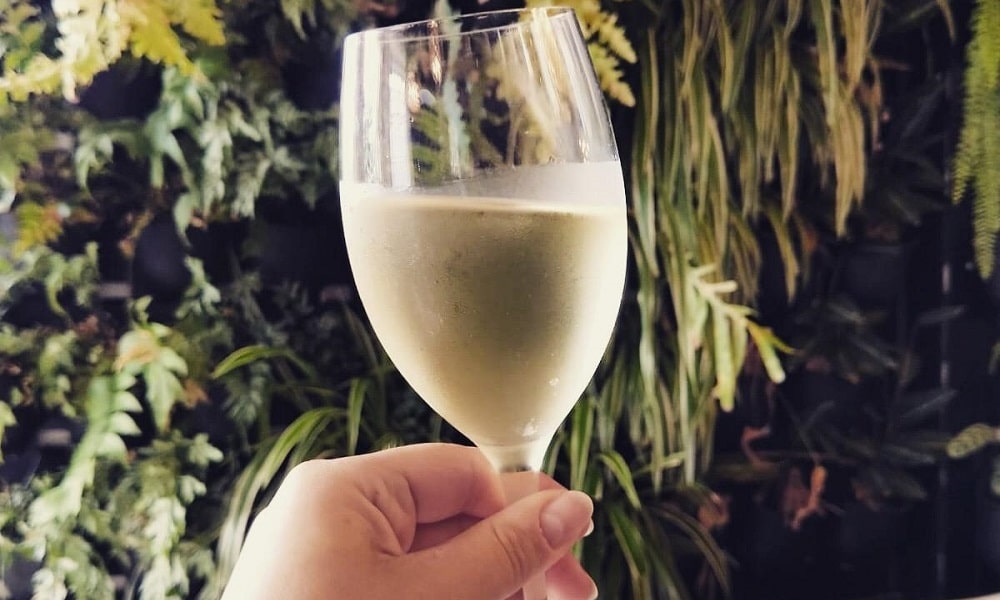 chardonnay white wine glass with green foliage background