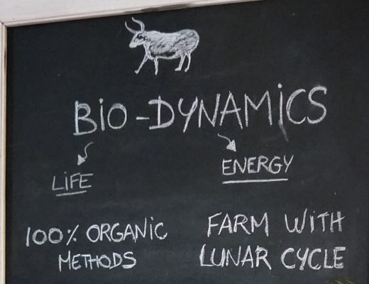 biodynamic wine sign