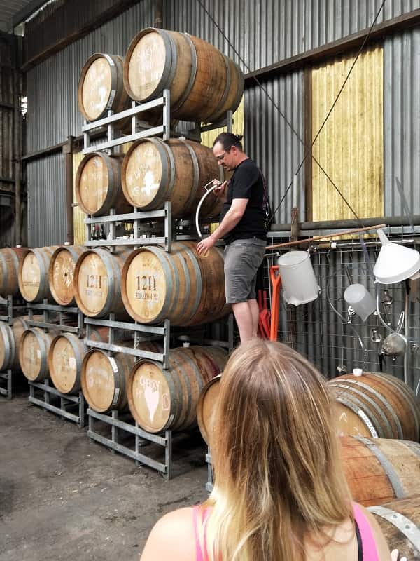scintilla wines winemaker standing on wine barrels pouring wine